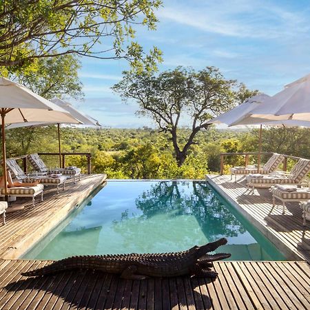 Simbavati Hilltop Lodge Game ReserveTimbavati Exterior foto