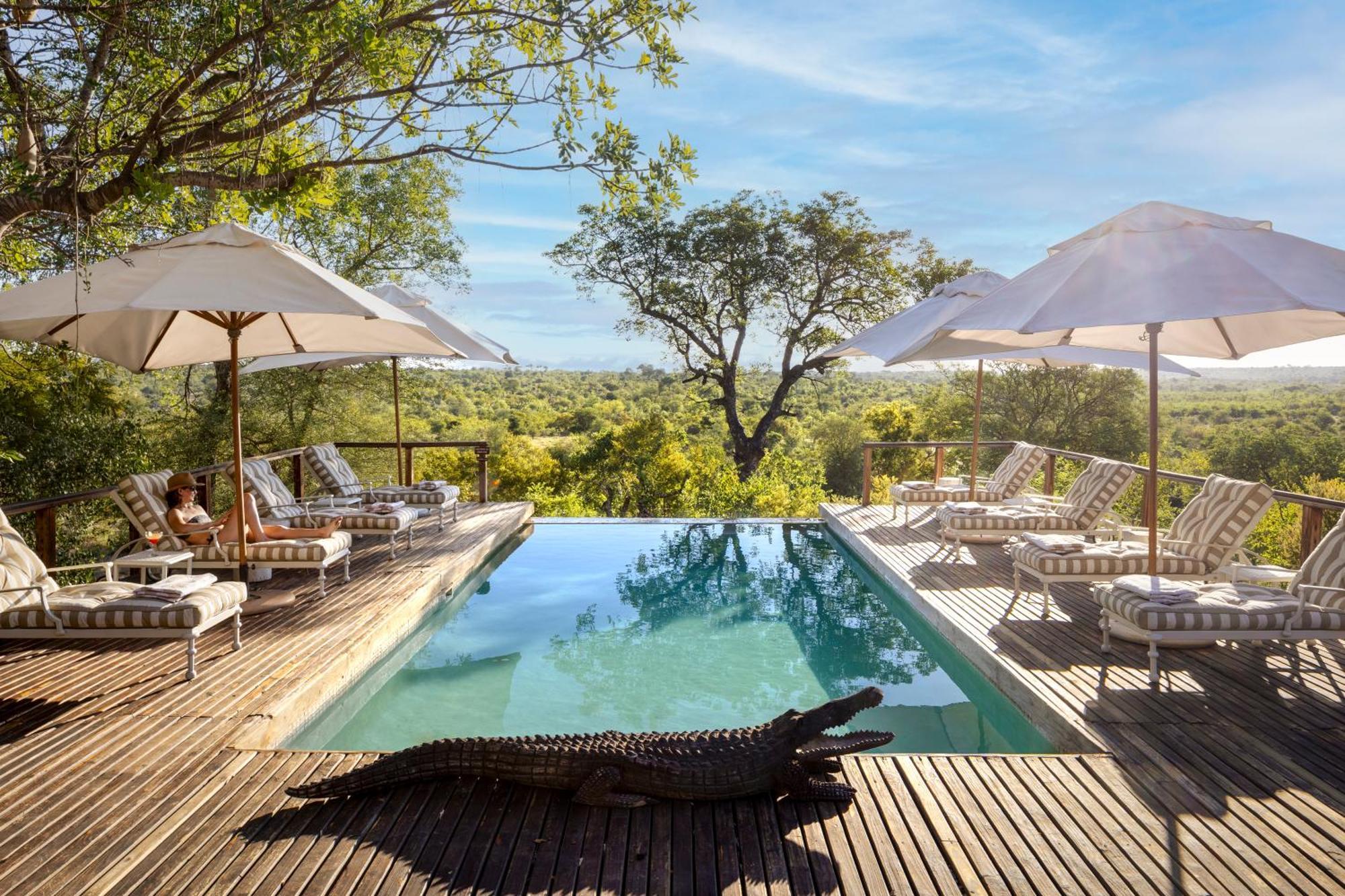Simbavati Hilltop Lodge Game ReserveTimbavati Exterior foto