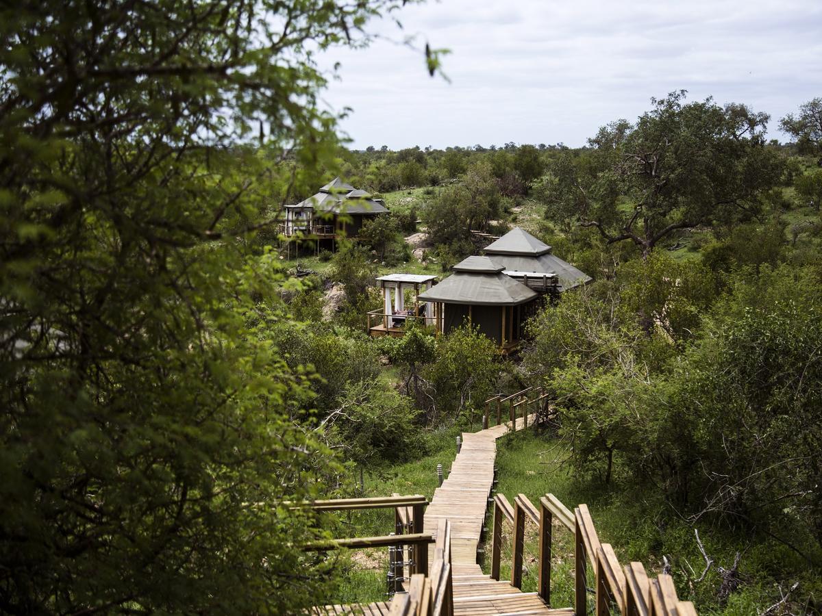 Simbavati Hilltop Lodge Game ReserveTimbavati Exterior foto