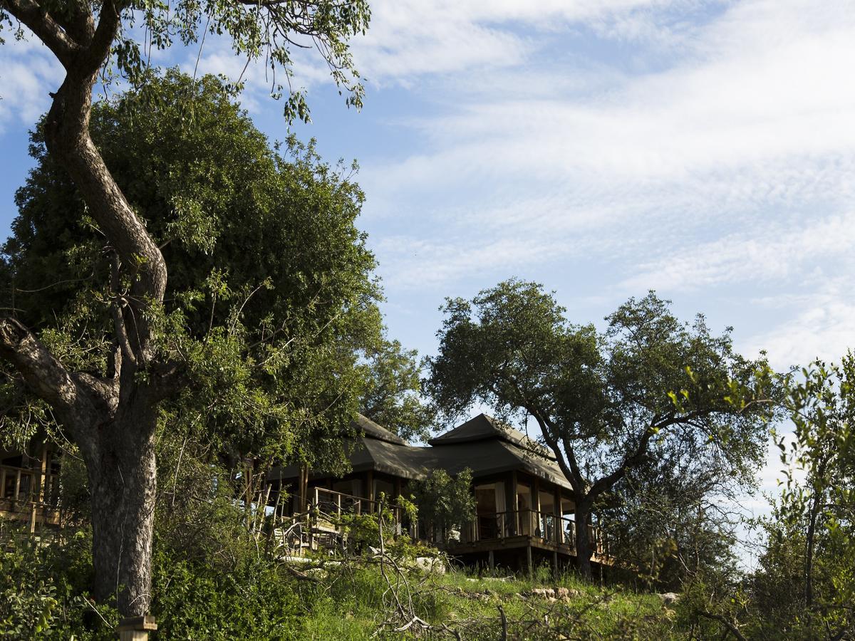 Simbavati Hilltop Lodge Game ReserveTimbavati Exterior foto